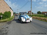 Zandlemig Vlaanderen